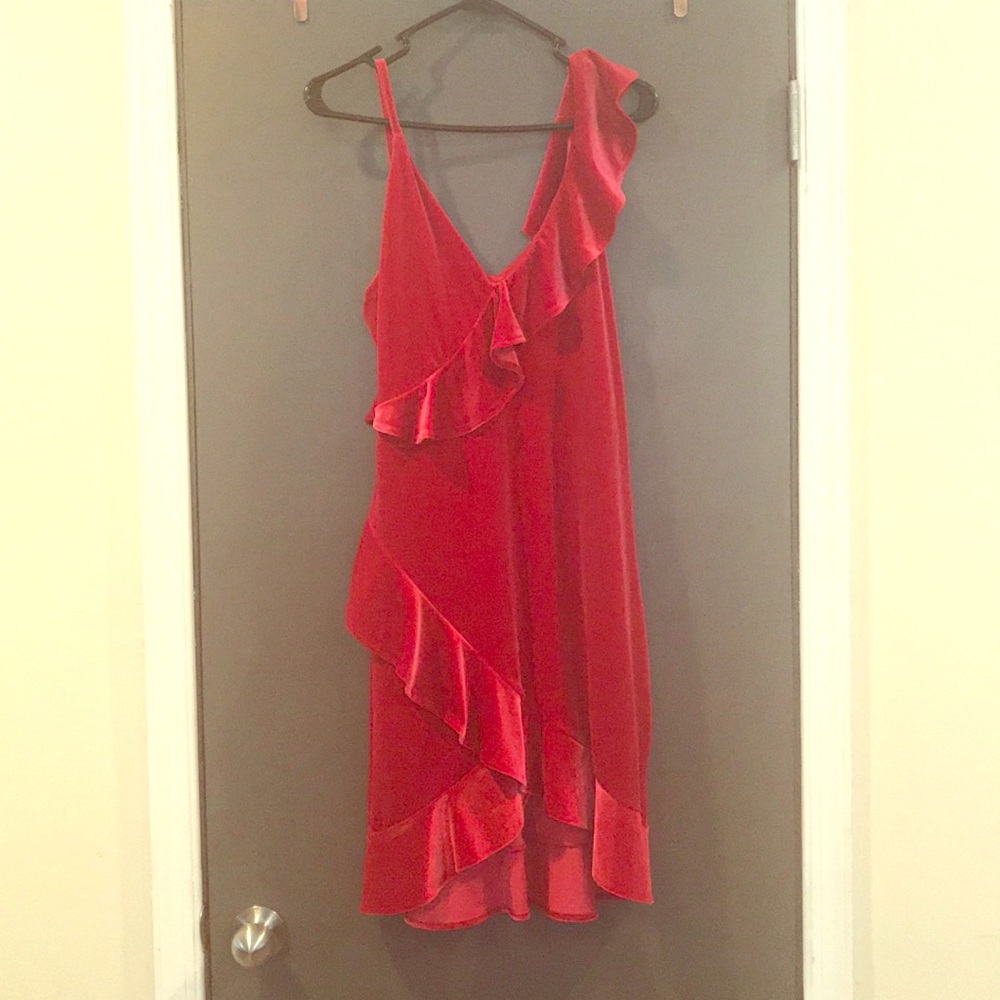 Express velvet dress